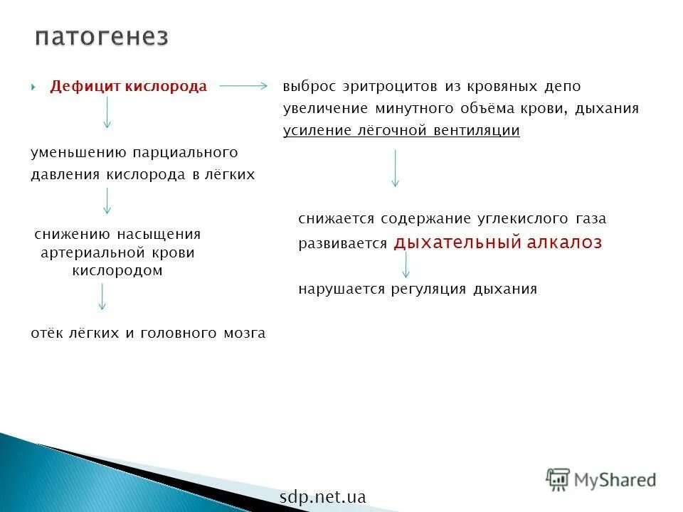 Организм способный жить при отсутствии кислорода. Первая помощь при нехватке кислорода. Первая помощь при недостатке кислорода. Симптомы при нехватке кислорода. Дефицит кислорода в крови.