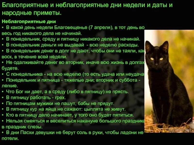 Чихнуть в пятницу примета. Приметы на пятницу. в какой день недели лучше устраиваться на работу приметы. приметы на вторник. суеверия на работе.