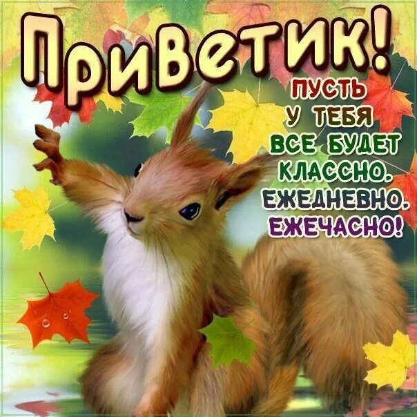 Привет тебе от меня и хорошего. Добрый приветик. доброго дня и приветик от меня. приветик удачного дня. поздравление с приветом.
