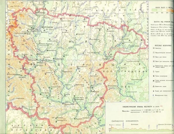 Настенная карта Воронежской области