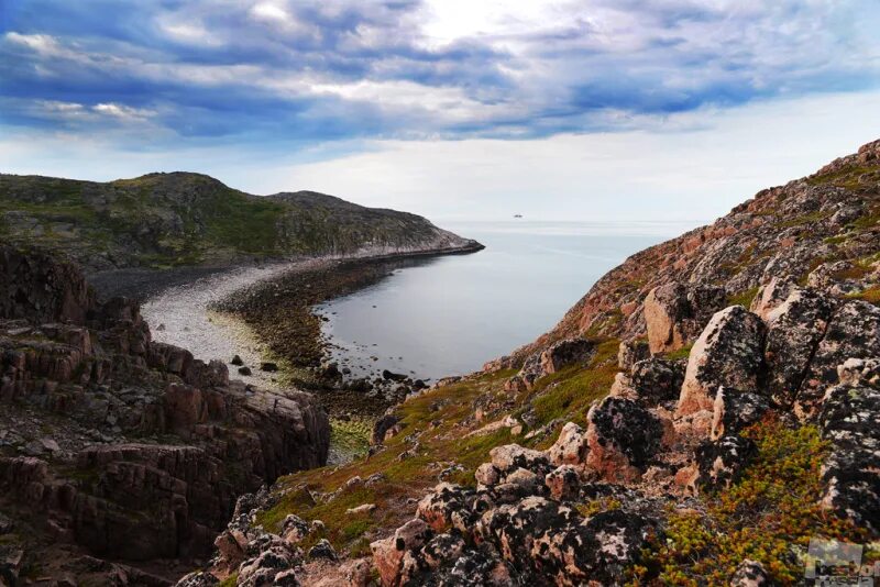 Остров россии в баренцевом море. Тиманский берег Баренцева моря. Баренцево море тарабер. Урал Баренцево море. Канев нос Баренцево море.