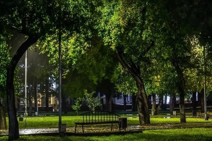 Первые скверы. Парк 1 мая москва лефортово. Аллея парк 1 мая. Измайловский бульвар 32 сквер. Первые скверы.