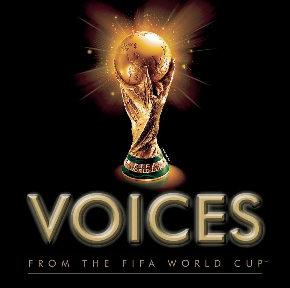 Fifa 2010 psp. Fifa world song. Фифа 2010 игра. Voices. Fifa 2014 world cup pc.