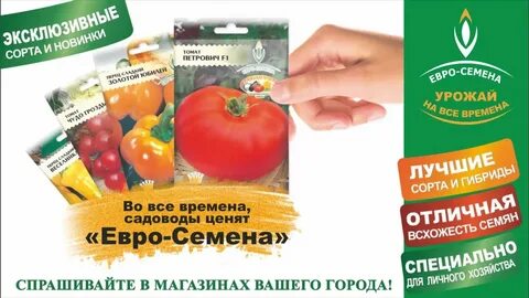 Семена алтая ютуб канал