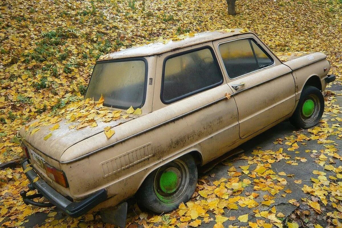 Заз 968 заброшенный. Заз запорожец горбатый. Запорожец 968м. Старый запорожец. Машина запорожец заз 968.