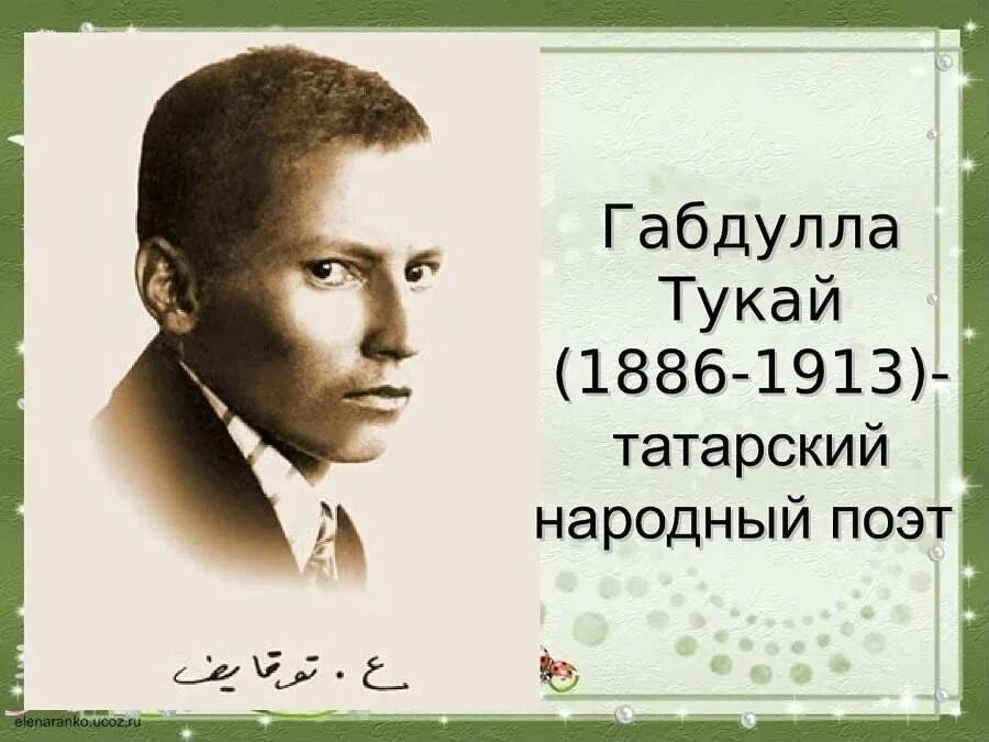 Жизнь и творчество г тукая. Габдулла Тукай поэт. Татарский поэт Тукай. Татарский поэт Габдулла Тукай. Габдулла Тукай портрет.