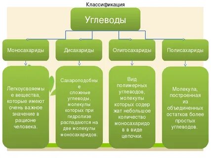 Биология 9 углеводы