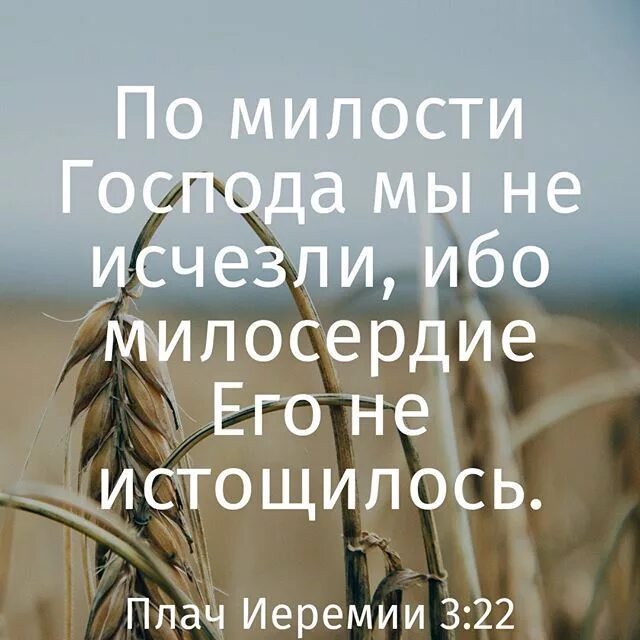 Милость обновляется каждое утро. По милости господа мы не исчезли библия. милость господа. стихи из библии о милости. господь милости.
