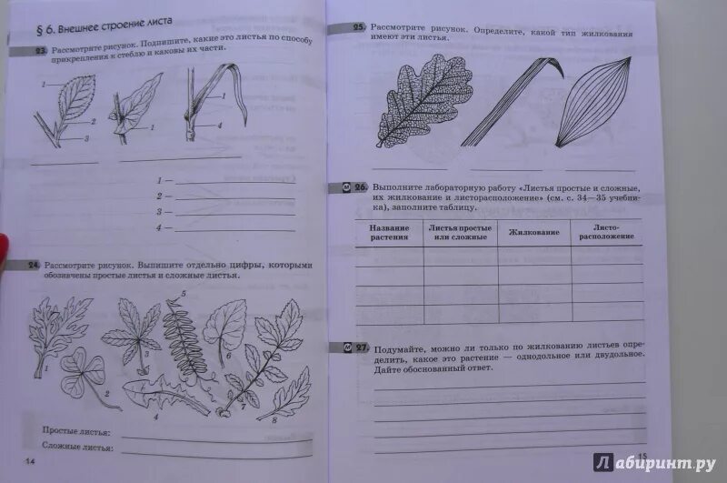 Рабочая тетрадь по биологии 6 класс Пасечник цветок. Покрытосеменные биология 5 класс Пасечник. Рабочая тетрадь биология 6 многообразие покрытосеменных. Строение и многообразие покрытосеменных растений 6.
