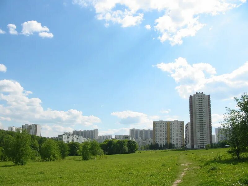 Ясенево 16. Ясенево Битцевский лесопарк. Ясенево парк Битцевский парк. Москва район Ясенево Битцевский парк. Микрорайон Ясенево Москва.