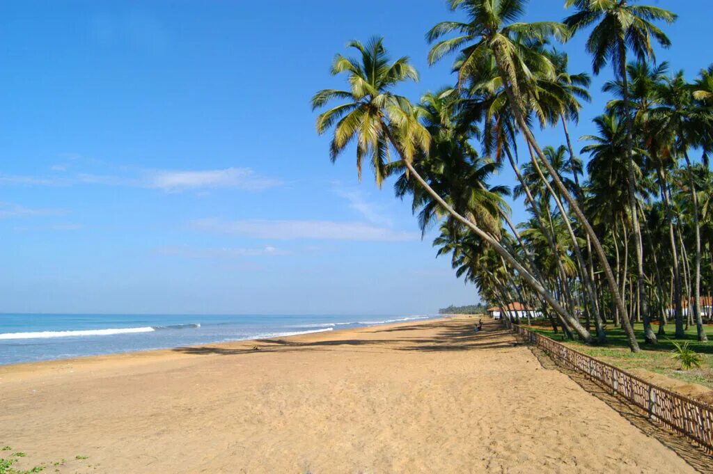 Шри ланка sri sri lanka 5. Роял Палмс Шри Ланка. Калутара Шри Ланка. Палмс Бич Шри Ланка. Royal Palms Beach Hotel 5* (Калутара).