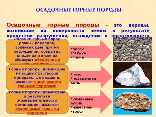 Осадочные обломочные горные породы. Осадочные горные породы примеры. Осадочные органические горные породы. Осадочные горные породы и минералы.