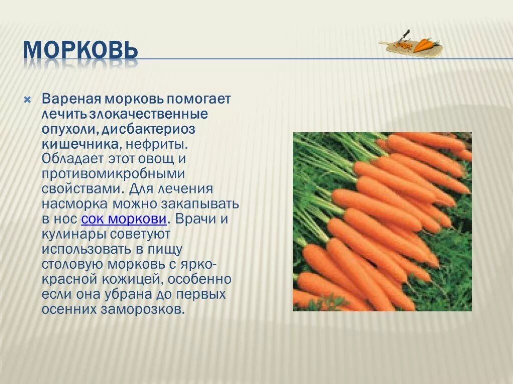 Морковь. Доклад про морковь. Презентация на тему морковь. Морковь полезный овощ.