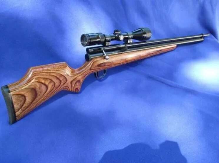 Quackenbush la outlaw 458. Винтовка cz 200t. Пневматическую винтовку quackenbush. Quackenbush винтовка. Quackenbush rifle.