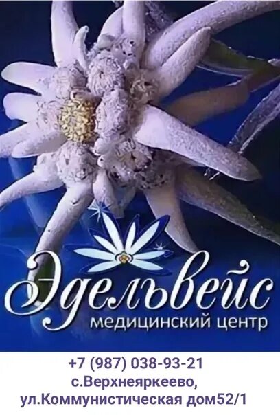 Эдельвейс екб. Открытка эдельвейс. эдельвейс с днем рождения. открытка с днем рождения эдельвейс. открытка с цветами эдельвейса.