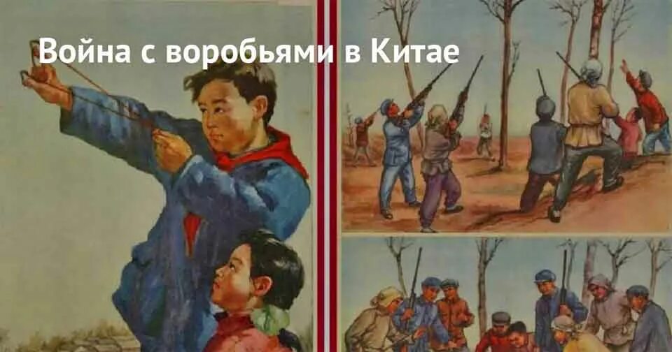 Китай истребление воробьев 1958. Китай против воробьев. Истребление воробьев в китае плакат. Китай истребление воробьев 1958. Китай мао истребление воробьев.