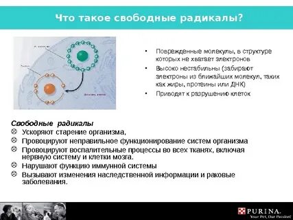 Нейтрализовать свободные радикалы
