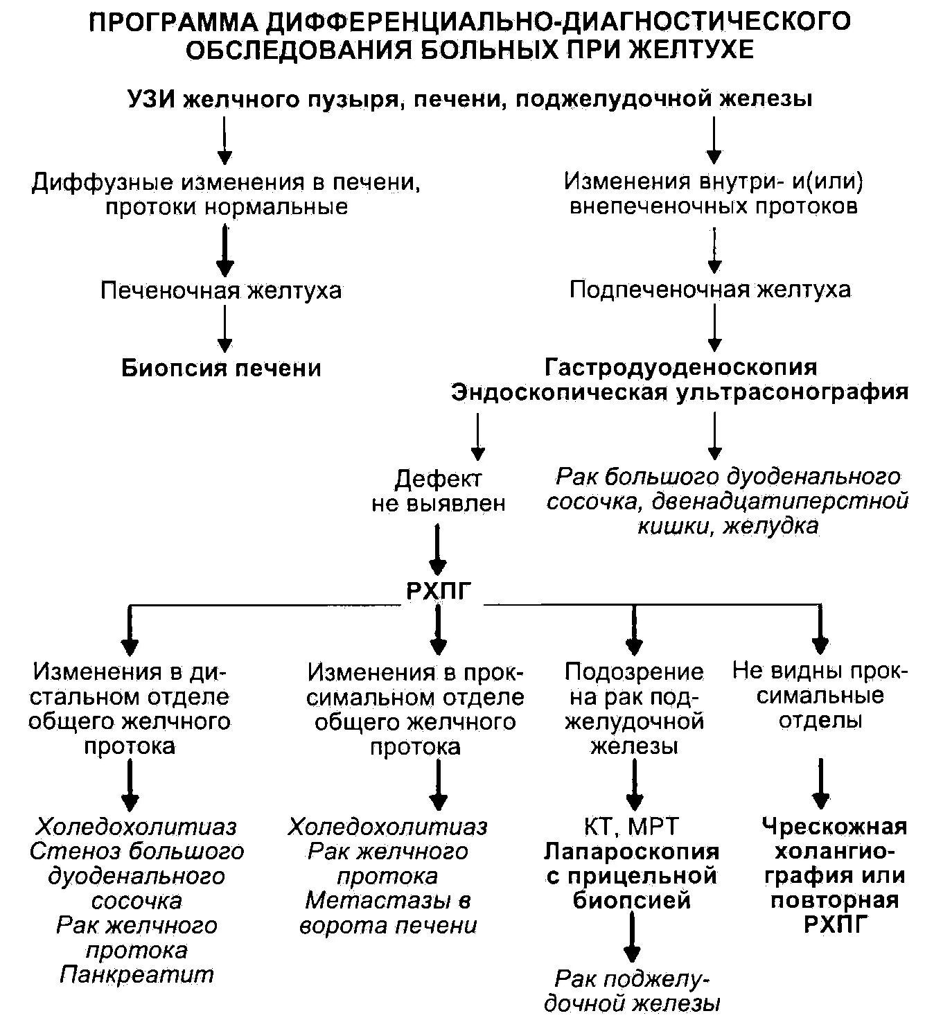 Диф изменения печени. Дифференциальная диагностика желтух и схема диагностического поиска. алгоритм дифференциально-диагностического поиска при желтухе. дифференциальная диагностика заболеваний печени. этапы диагностического поиска при патологии печени.