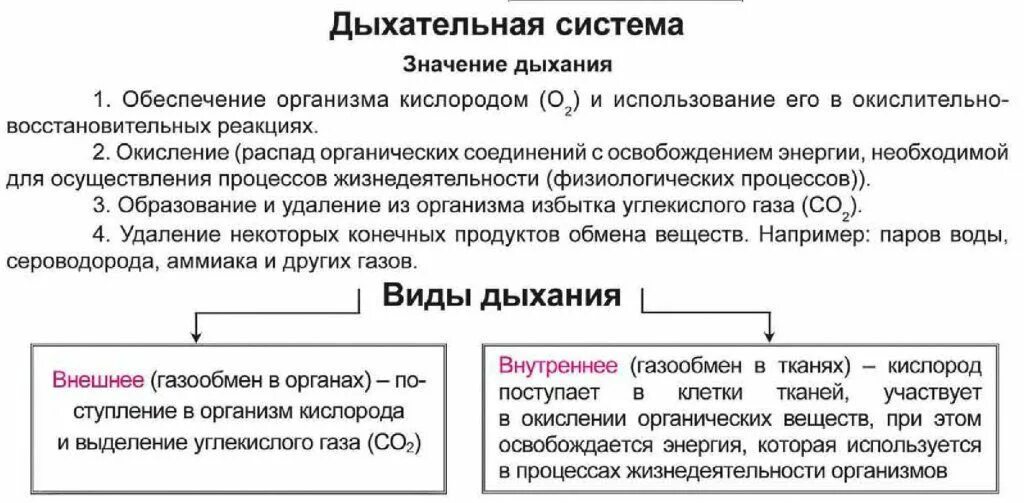 Дыхательная система задания огэ. Дыхательная система огэ биология. система органов дыхания огэ биология. дыхательная система шпаргалка. дыхательная система егэ биология.
