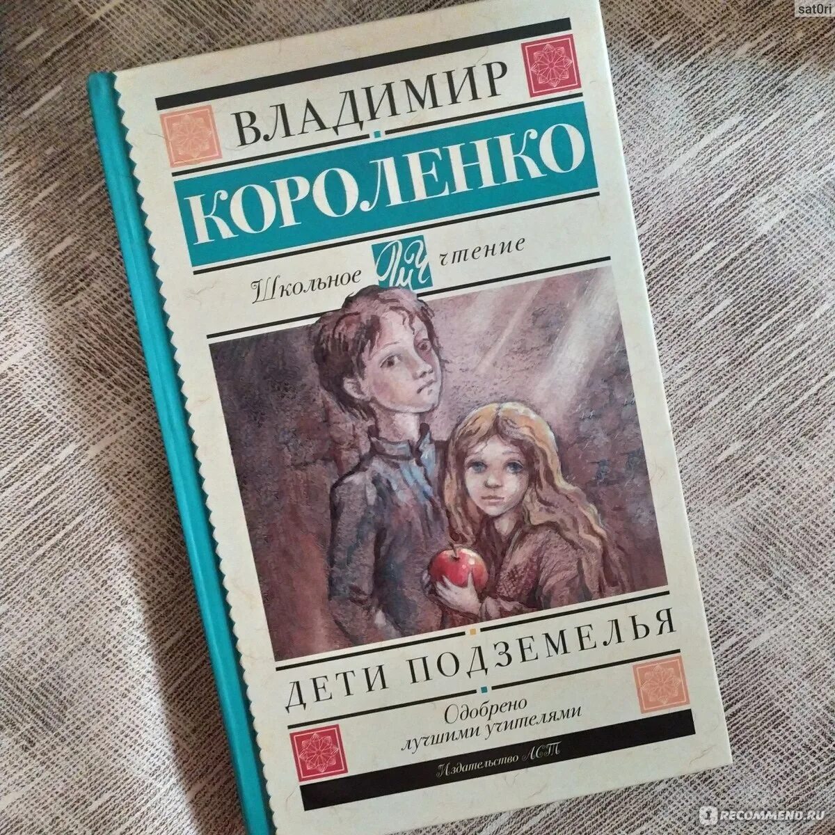 Читать книгу короленко в дурном обществе