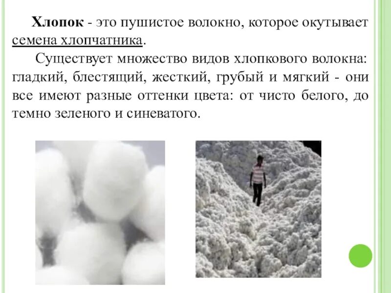 Хлопок. Хлопок волокно. Типы хлопкового волокна. Волокно хлопчатника по цвету бывает. Причины хлопка газа