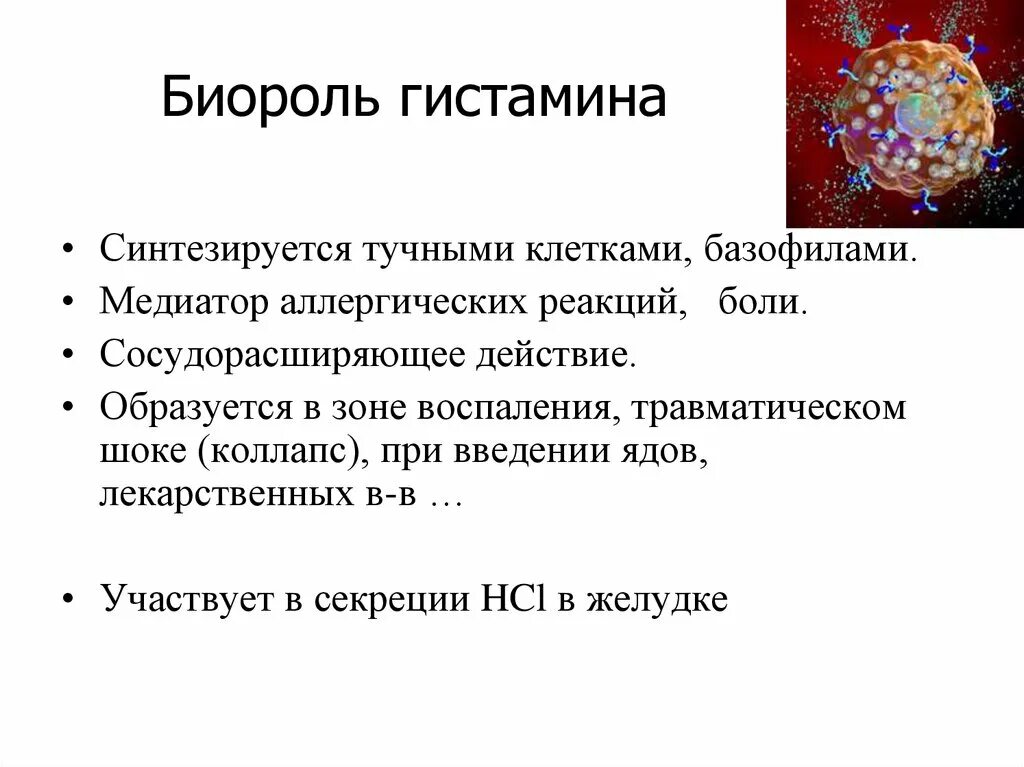 Гистамин функции. Основные функции гистамина. Гистамин роль в организме. Гистамин функции в организме.