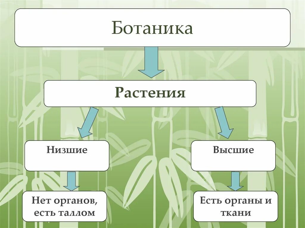 Схема растений низшие высшие. Разнообразие растений низшие и высшие. Высшие растения 5 класс биология. Распространение и значение растений. Многообразие и значение растений низшие и высшие.