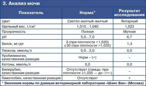Удельный вес в моче у ребенка