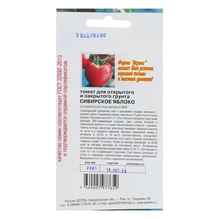 томат адамово яблоко (20 шт). томат яблочные сибирский сад. томат яблочные характеристика и описание сорта. томат яблочные характеристика и описание сорта. томат яблоки на снегу 0,1 г.
