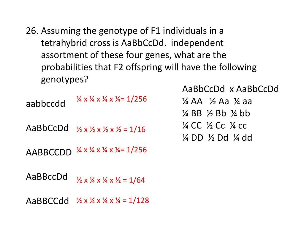 Сколько типов гамет образует aabbccdd. Aabbccdd. Генотип AABBCCDDEE. Гаметы aabbccdd. Сколько гамет образует организм с генотипом aabbccdd.