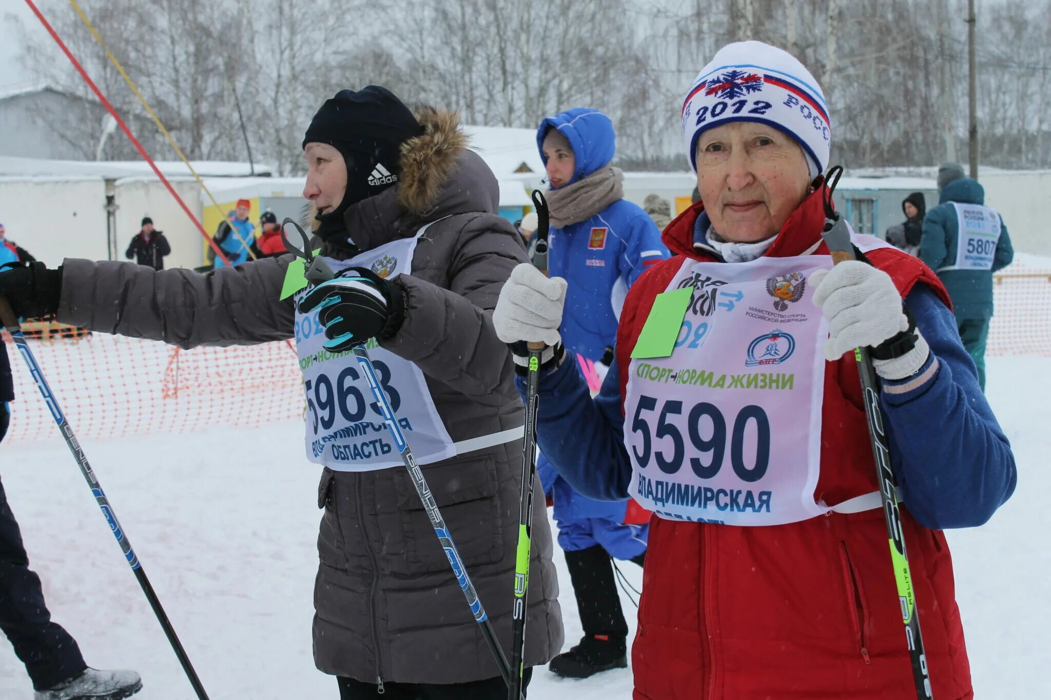 Ковров лыжня. Лыжная траса в коврове чёрный дол. Лыжня россии 2022 ковров фото. Ковров лыжня. Ковров лыжня.