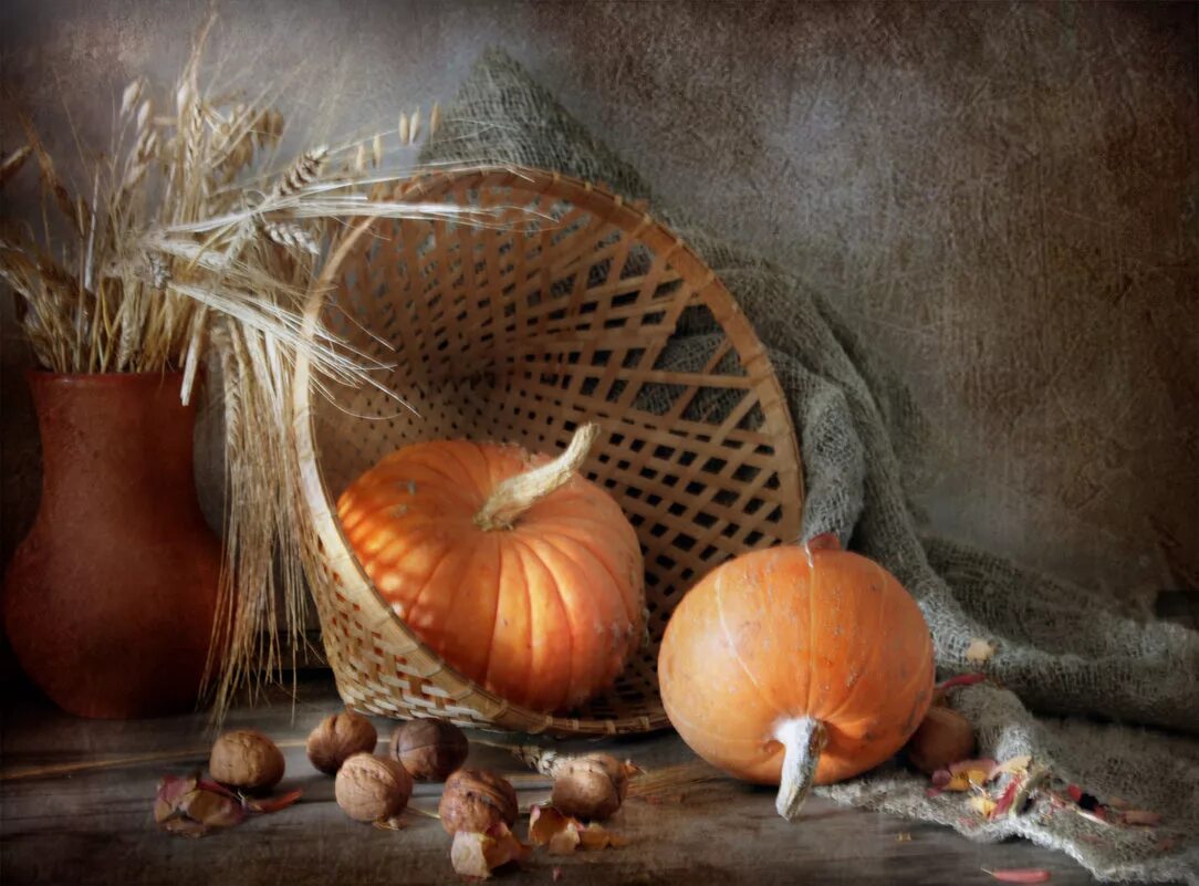 поле урожай. пшеница тыквой. 5 каш из пророщенных зерен. урожай тыквы. пшеница и тыквы.