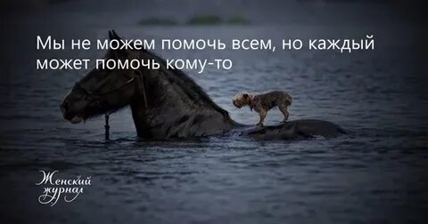 Возможно смогу вам помочь