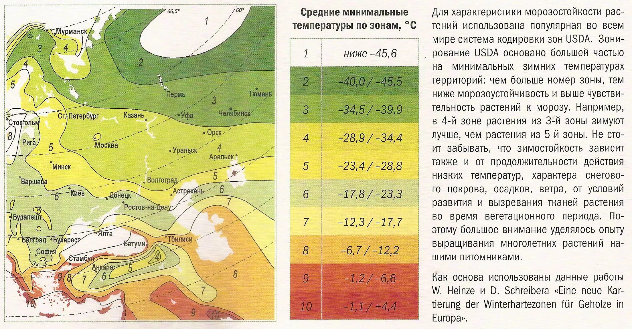 Климат на территории европы. Зоны зимостойкости растений России по областям. Карта зон зимостойкости России. Климатическая зона 4 в России для растений. 4 Зона морозостойкости в России.