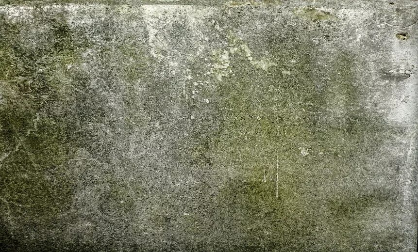 Зеленый бетон. Зеленоватый бетон. Зеленая бетонная стена. Плесень на бетоне.