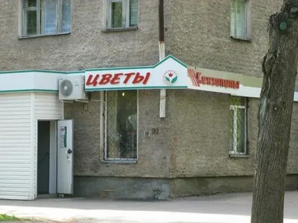 Пять звезд великий новгород