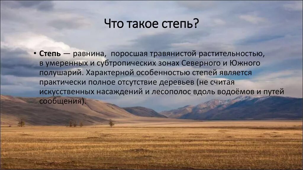 Значение степи в жизни человека