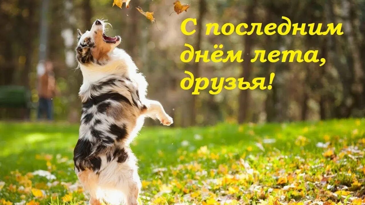 Доброе утро последние деньки года