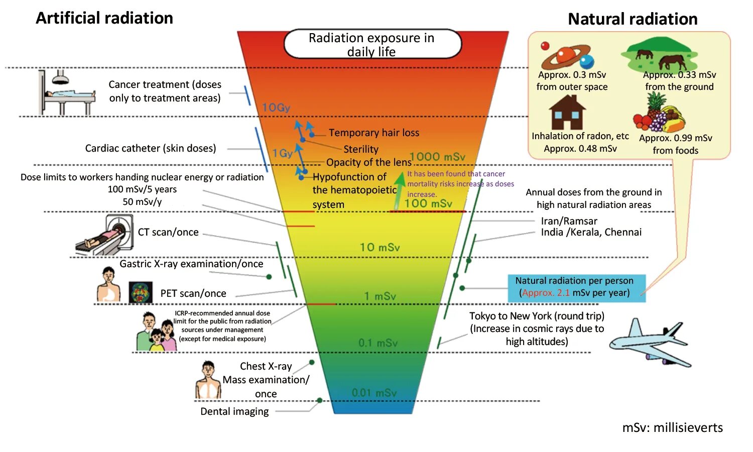 Radiation level. Radiation dose chart. radiation levels. radiation ray. radiation exposure scale.