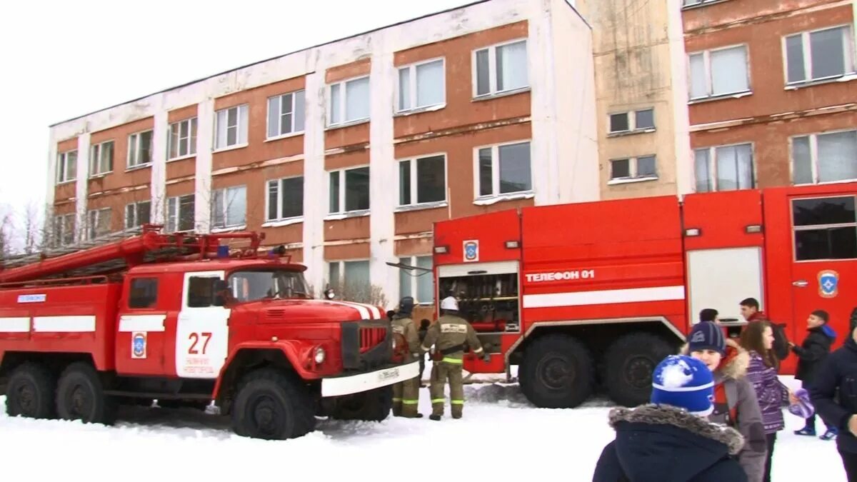 Школа 134 Нижний Новгород Приокский район. Пожар в школе 134 Нижний Новгород. Пожарный в школе Новгород. Пожарные с котом в Нижнем Новгороде.