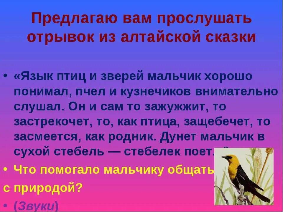 То как птицы учатся петь свои. Язык птиц. Язык птиц учить. Как говорить на языке птиц. Как понять язык птиц.