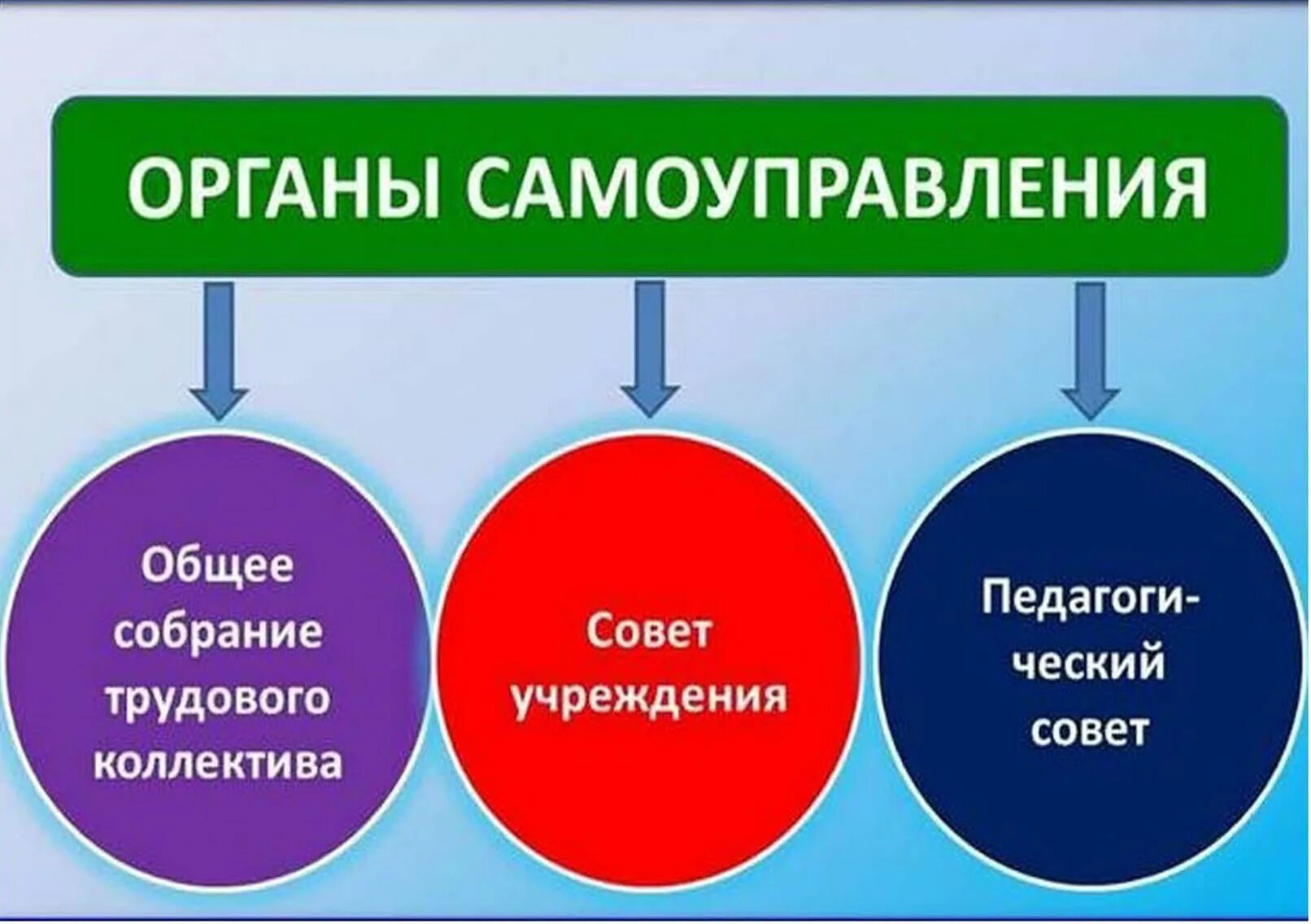 Управляющий совет в ДОУ. Попечительский совет в ДОУ. Органы самоуправления - групповая форма работы. Картины органы самоуправления.