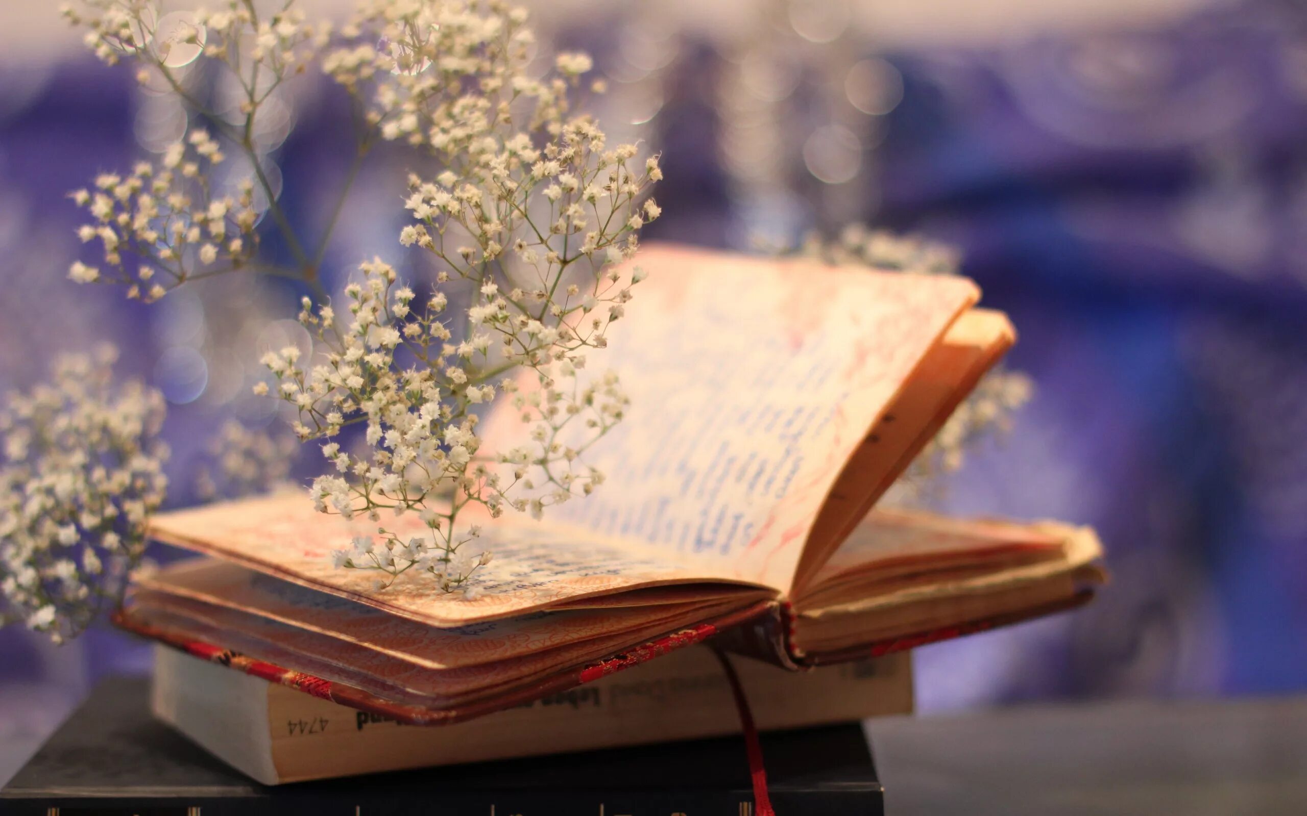 Вдохновение это строгое рабочее. Красивые книги. обои на рабочий стол книги. книга вдохновение. фон книги.