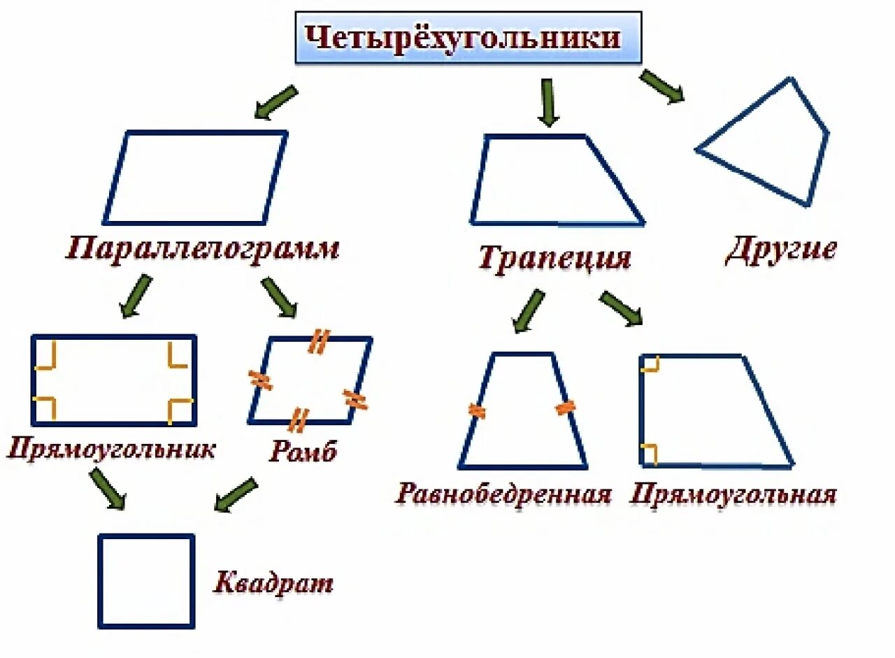 Какие фигуры называются прямые. Классификация четырехугольников. Вмлы четырех угольриков. Виды четирех Угольников.