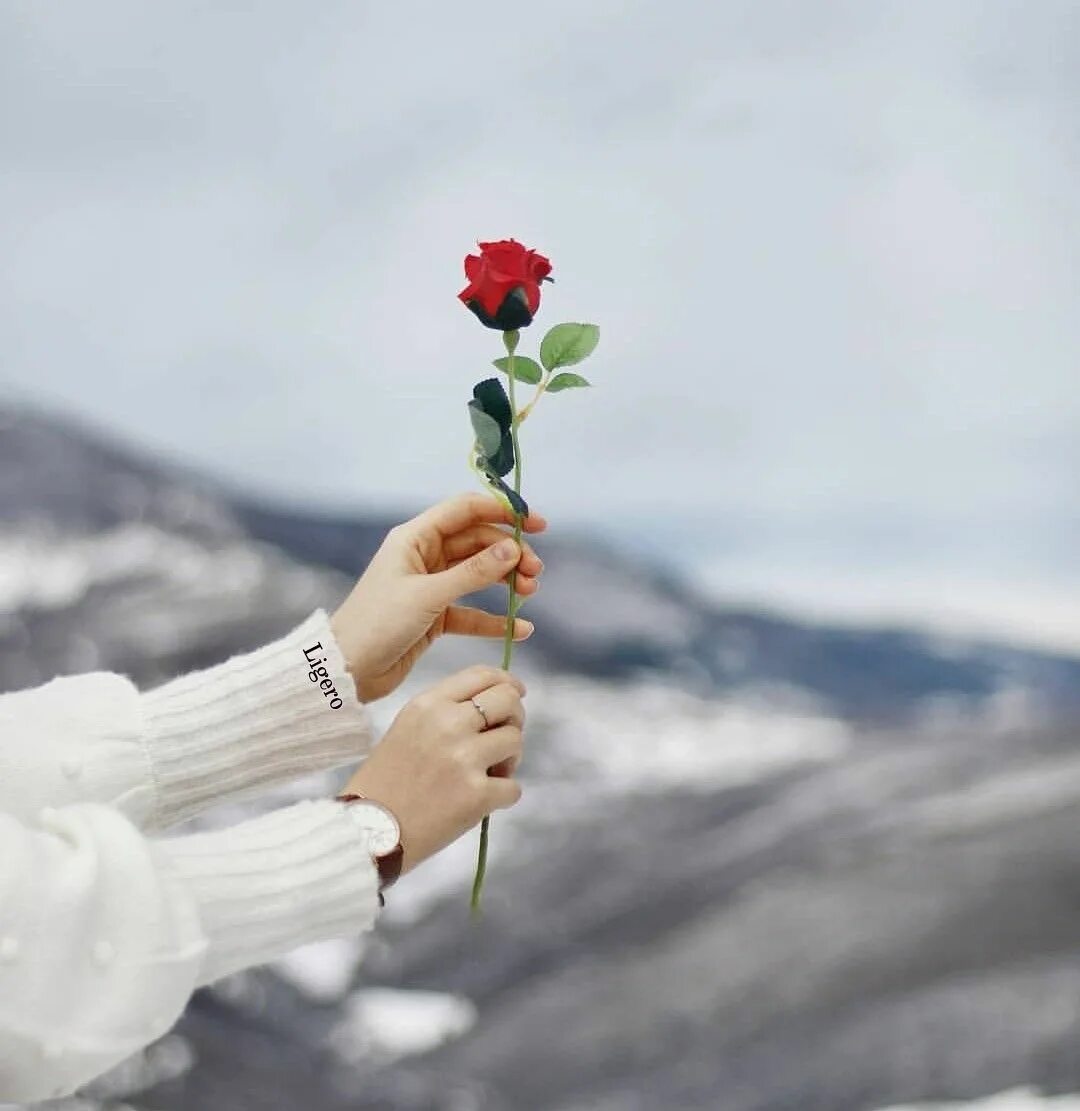 Красивые цветы в руках. Букет цветов в руках. Цветы в руках картинки. Цветы в руках картинки. Рука с цветами.