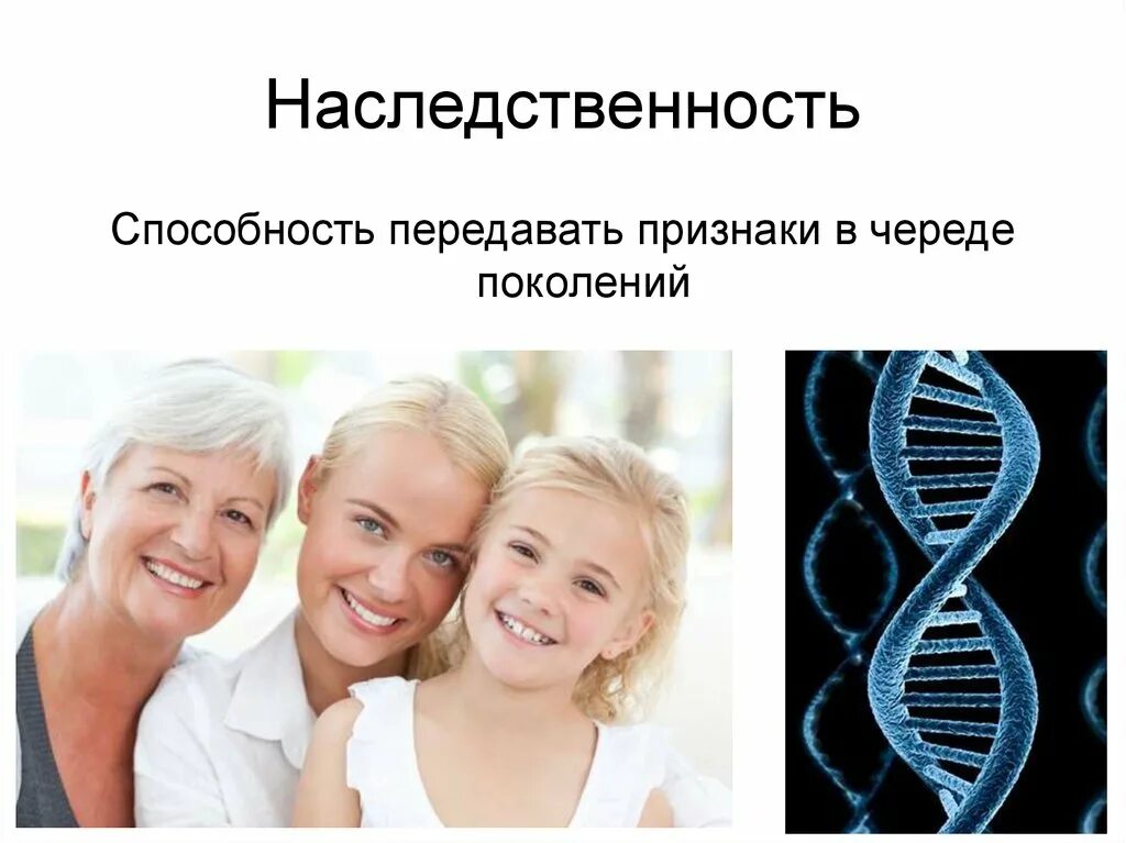 Наследственные признаки передают. Наследственность. Генетика наследственность. Наследственность презентация. Семейная наследственность.