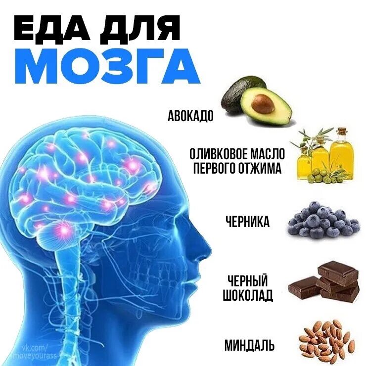 Мозгу нужно время. Пища для мозга. Продукты питания для мозга. Полезная пища для мозга. Самые полезные продукты для мозга.