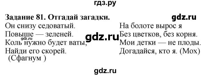 Английский 3 класс страница 81 упражнение 5