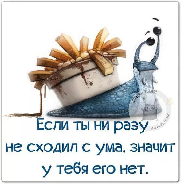 Что означает с ума сошел
