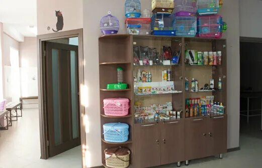 багира пенза ветклиника телефон. багира пенза ветклиника телефон. багира пенза ветклиника телефон. ветеринарная клиника гайва. ветеринарная клиника багира астрахань.